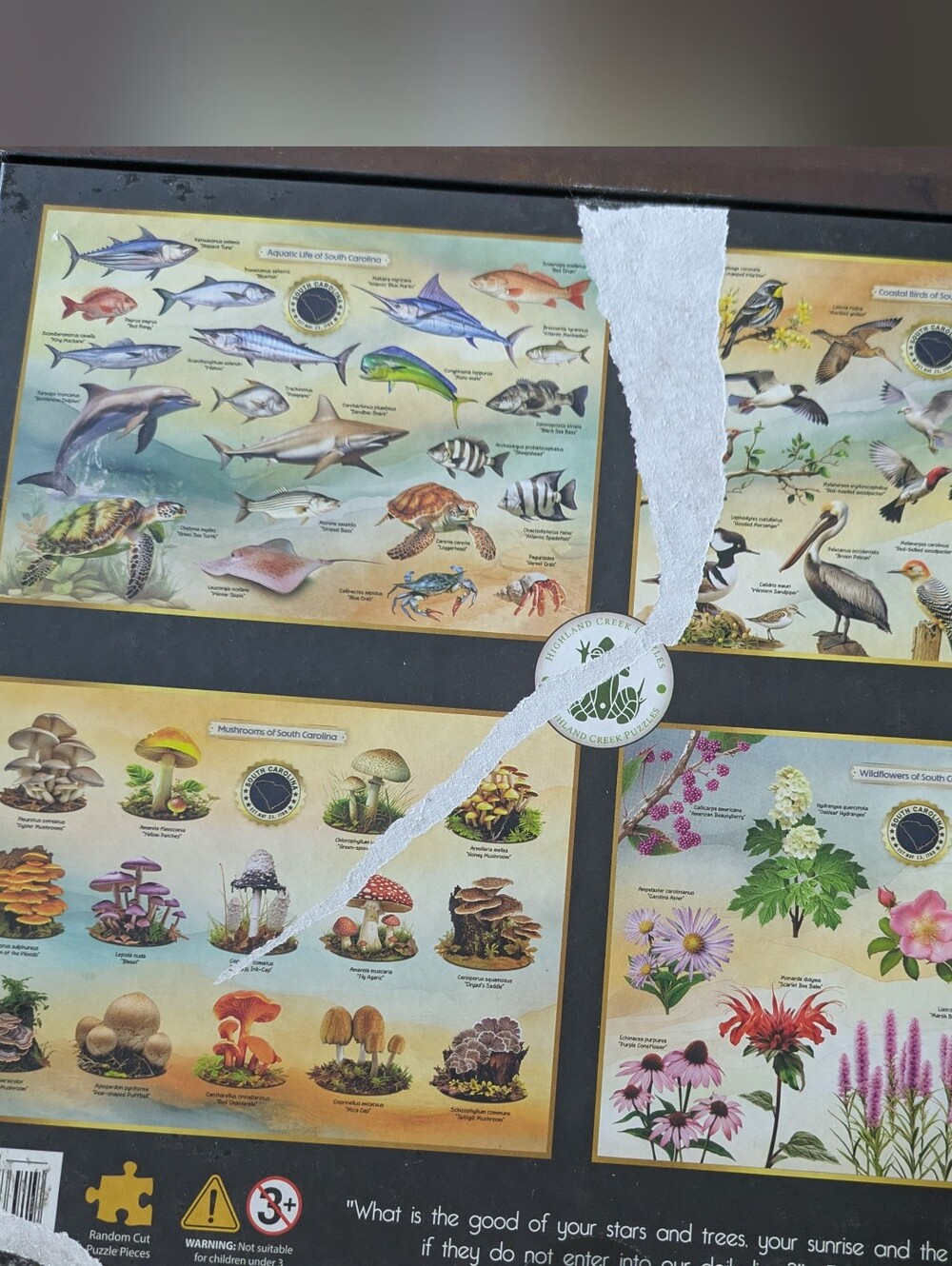 Two Puzzles - Picture 7 of 7